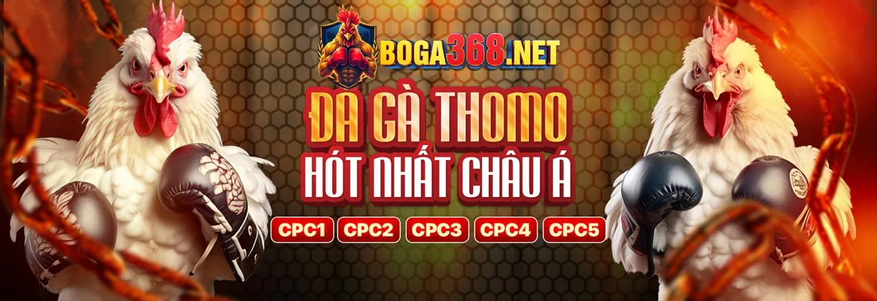 Hình ảnh minh họa các loại trò chơi đa dạng tại keo 88 net